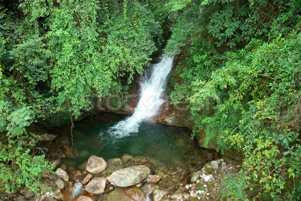 Waterfall in the forest Stock photo © vapi