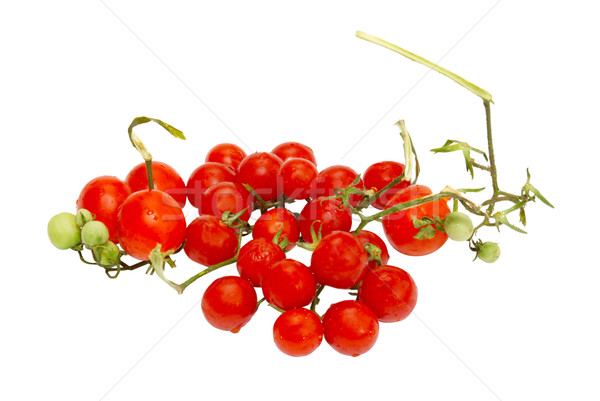Red small tomatoes isolated on white. Stock photo © vapi
