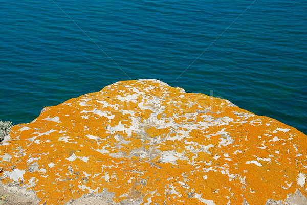 Texture of lichen on the stone and the sea. Stock photo © vapi