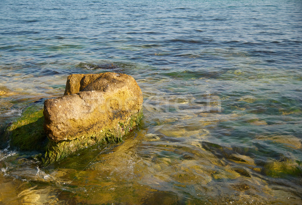 A big stone with green marine algae. Stock photo © vapi