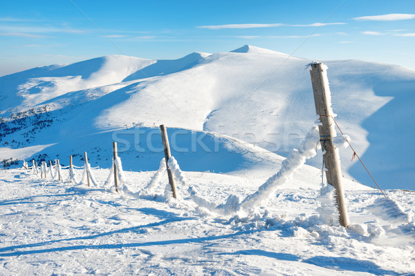 Fence with snow in winter alpine village Stock photo © vapi