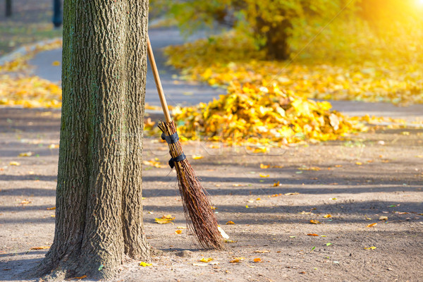 Cleaning in the autumn park Stock photo © vapi