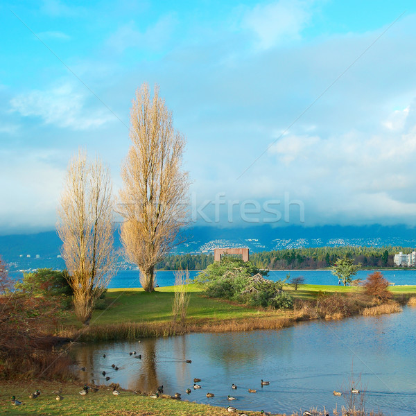 Vert parc mer gratte-ciel Vancouver [[stock_photo]] © vapi