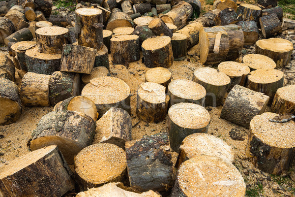 Holz Eiche Textur Baum Holz Hintergrund Stock foto © vapi