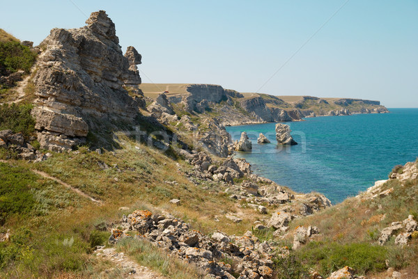 A coastline with many big rocks. Stock photo © vapi