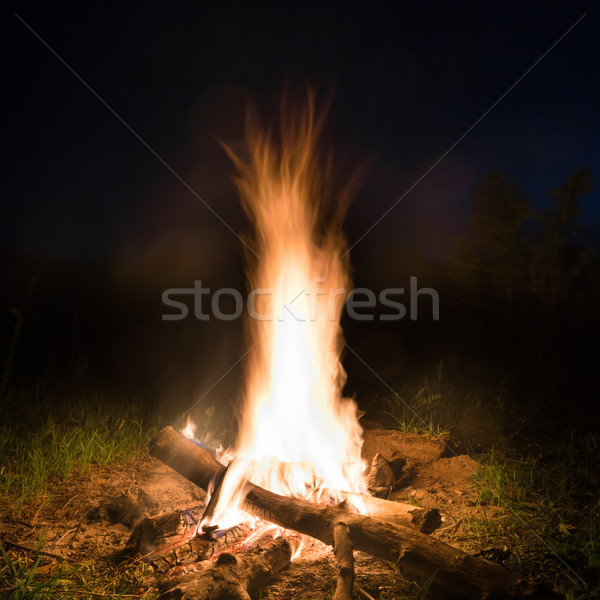 Grand feu orange feu de joie nuit bois [[stock_photo]] © vapi