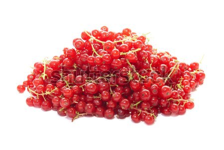 Framboises isolé blanche nature fruits [[stock_photo]] © vapi