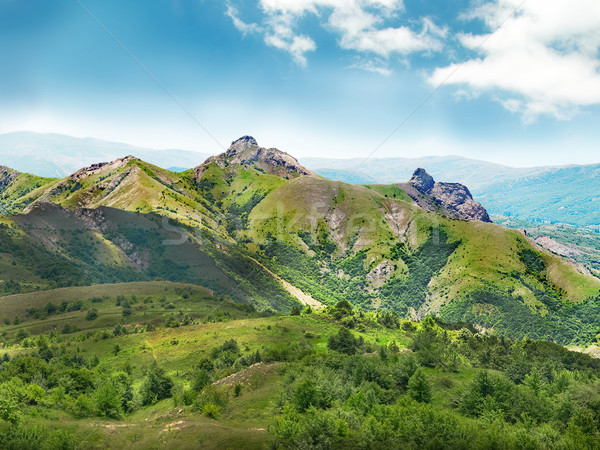 山· 覆蓋 · 森林 · 藍天 · 全景 - 商業照片 08 pavlo vakhrush