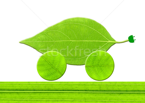 Frunze eco maşină perete natură artă Imagine de stoc © varts