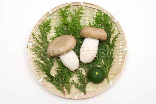 Ciupercă bambus alimente verde toamnă alb Imagine de stoc © varts