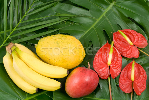Floare tropical plante alimente frumuseţe frunze Imagine de stoc © varts