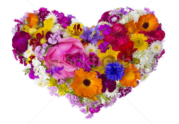 Stock photo: Summer flowers heart concept