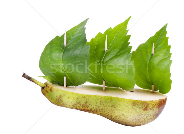 Green Peace concept Stock photo © vavlt