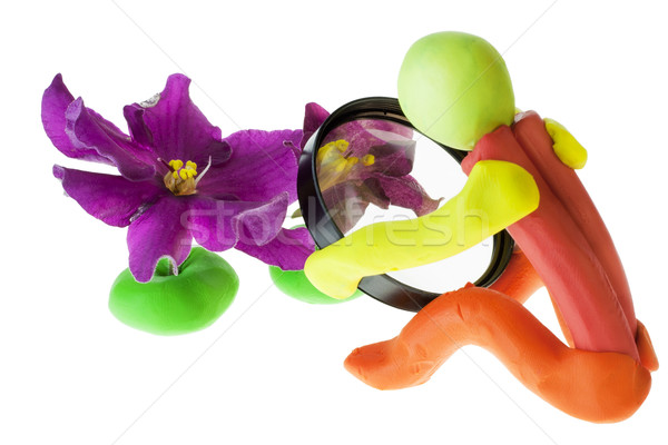 Nieuwsgierigheid geïsoleerd speelgoed weinig man vergrootglas Stockfoto © vavlt