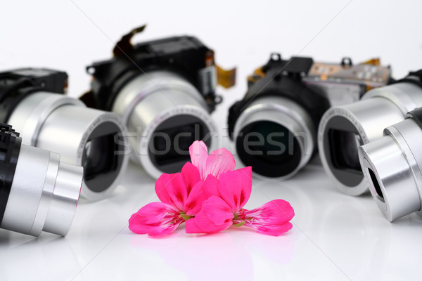 Flower of a geranium and objectives of compact cameras Stock photo © vavlt
