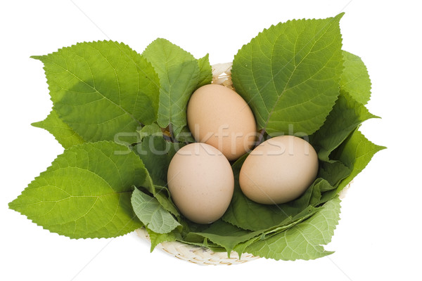 Easter eggs in a nest from leaves Stock photo © vavlt