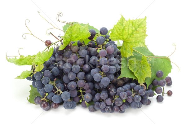 Northern Europe grapes Stock photo © vavlt