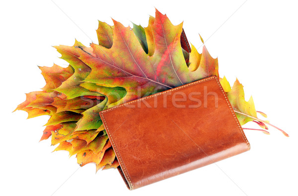 Leather wallet with autumn maple leaves Stock photo © vavlt