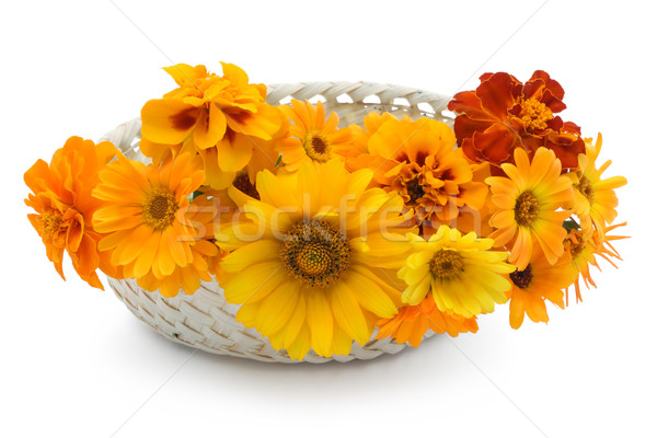 Basket with orange flowers Stock photo © vavlt