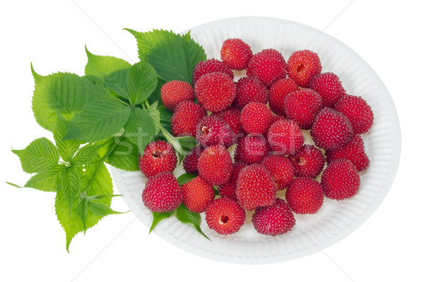 red berries on white paper plate Stock photo © vavlt