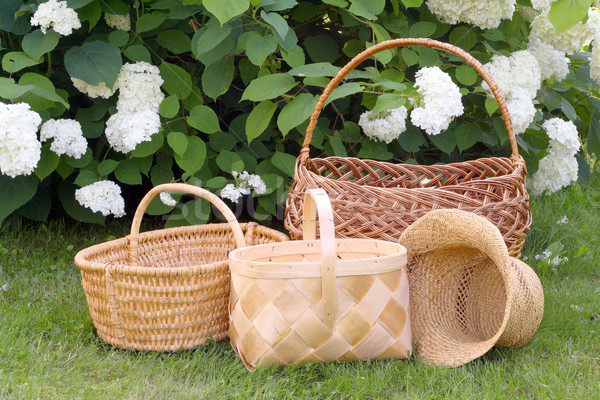 Wattled baskets and Hydrangea bush Stock photo © vavlt