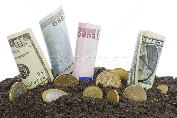 Money grows from the humus  concept Stock photo © vavlt