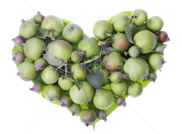 apples heart Stock photo © vavlt