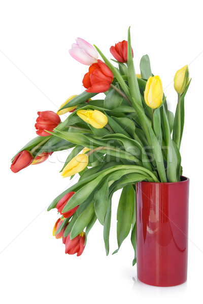 faded spring tulips in red vase Stock photo © vavlt