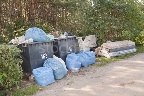Heaps of garbage and household waste in  forest Stock photo © vavlt