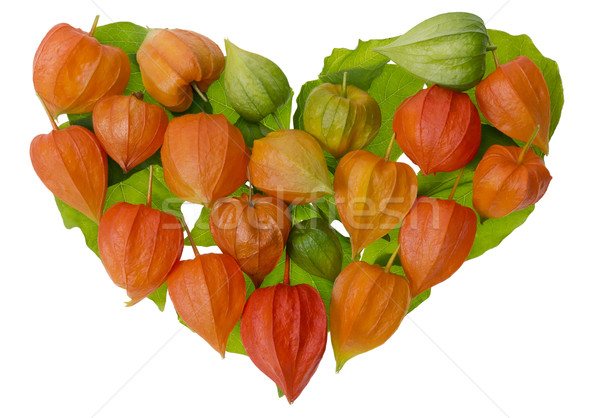 Heart from bright red   Chinese Lantern Stock photo © vavlt