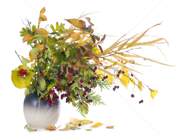 Stock photo: autumn  bouquet in jug