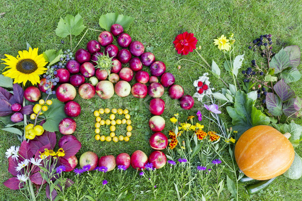 Herbst Ernte Collage Früchte Blumen grünen Stock foto © vavlt