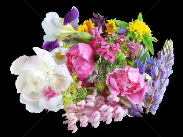 June flowers on black Stock photo © vavlt
