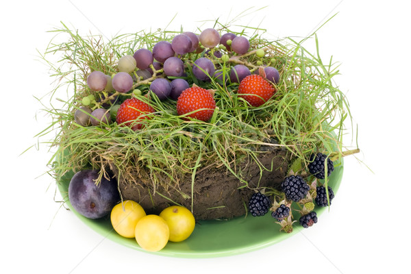 Pastel de frutas pieza césped verde placa hierba Foto stock © vavlt