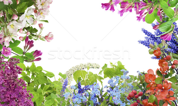 Spring May flowers  mix Stock photo © vavlt