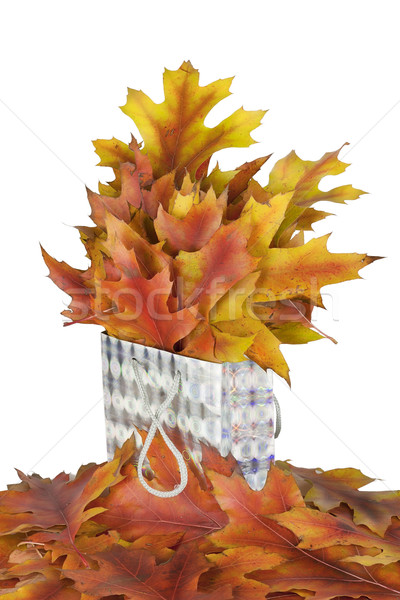 Golden oak leaves in a gift Stock photo © vavlt