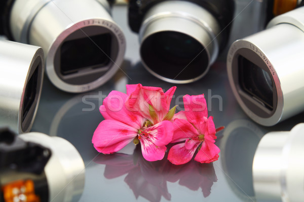 Flower and objectives of photo cameras Stock photo © vavlt