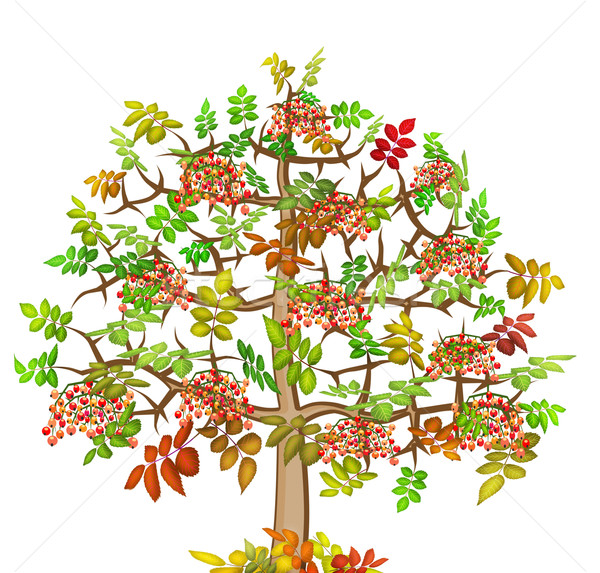 ash lonely autumn tree  Stock photo © vavlt