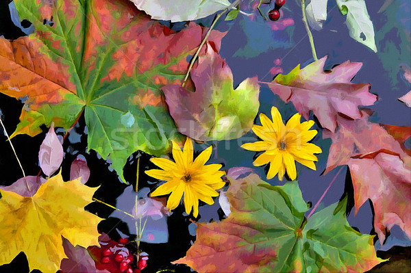 October, autumn leaves and plants in cold water Stock photo © vavlt