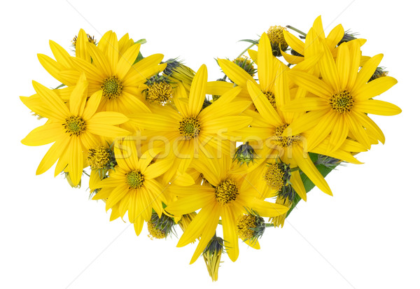 Yellow floral heart Stock photo © vavlt