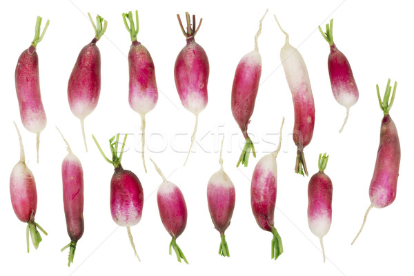 spring radishes Stock photo © vavlt