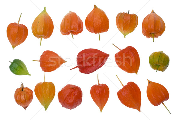 Red Chinese lanterns as design elements set Stock photo © vavlt