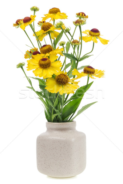 Stockfoto: Boeket · klein · gele · bloemen · aantal · Geel