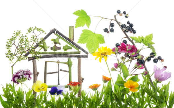 Sweet зеленый домой коллаж Летние цветы растений Сток-фото © vavlt