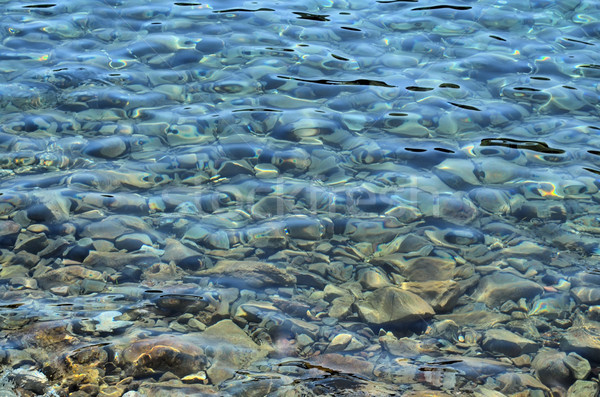 Meer Wasser Kiesel Strand Schwerpunkt Stock foto © vavlt