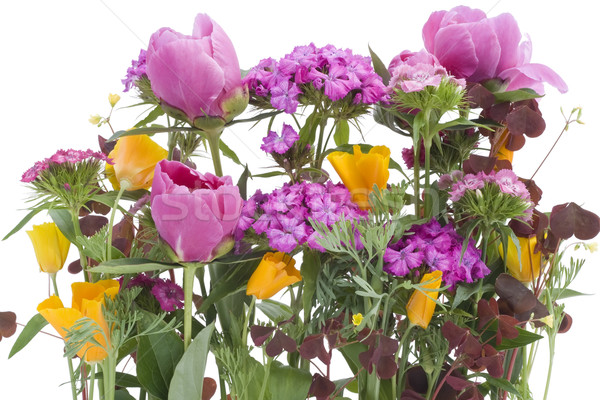 Lelijk boeket bloemen een ander geïsoleerd Stockfoto © vavlt