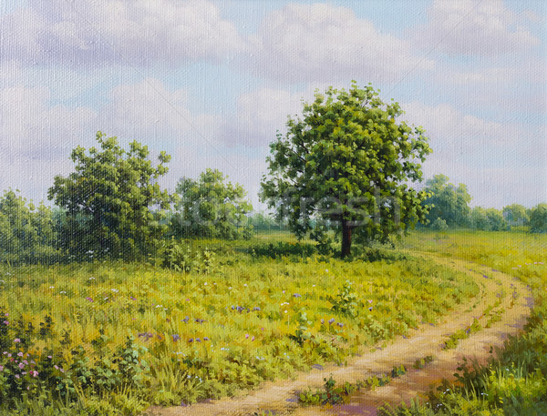 Summer meadow road landscape Stock photo © vavlt