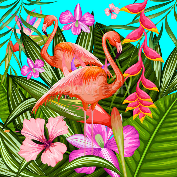 Esotiche tropicali illustrazione Flamingo fiore primavera Foto d'archivio © vectomart