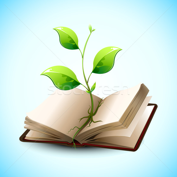 Plant Growing in Open Book Stock photo © vectomart