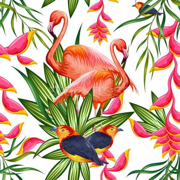 Esotiche fiore tropicale colorato uccello illustrazione Foto d'archivio © vectomart